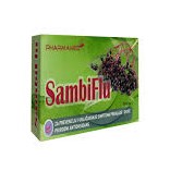 SAMBIFLU PLV 10 X 6 G