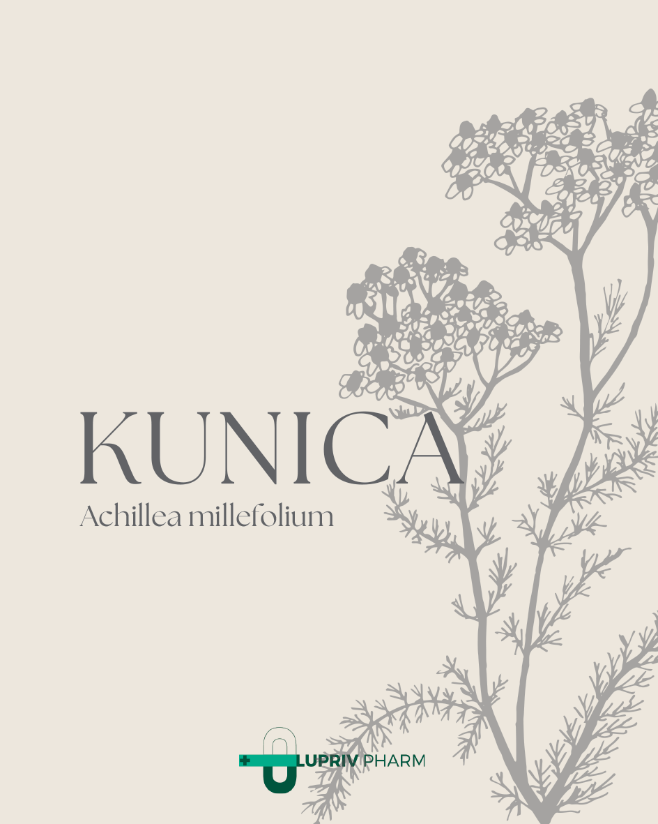 ČAJ KUNICA (LUPRIV PHARM)