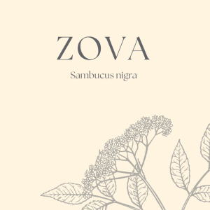 ČAJ ZOVA (LUPRIV PHARM)